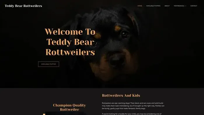 Screenshot of