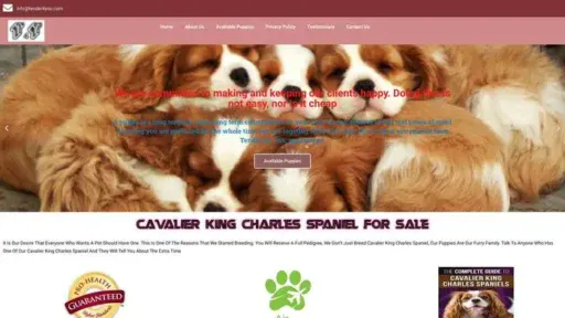 Screenshot of