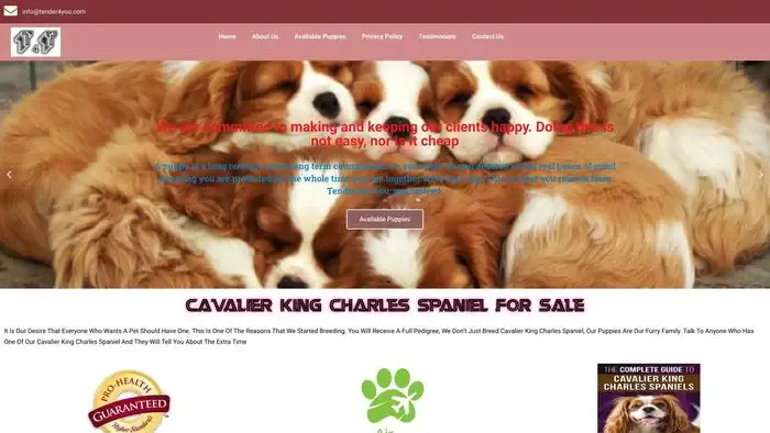 Screenshot of