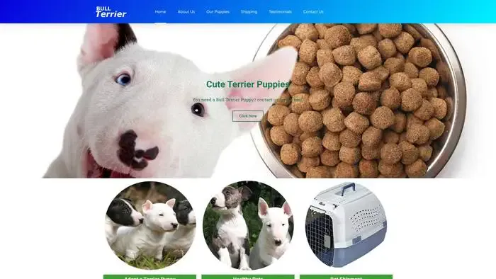 Screenshot of