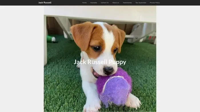 Screenshot of