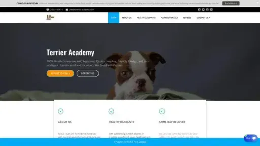 Screenshot of