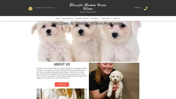 Screenshot of