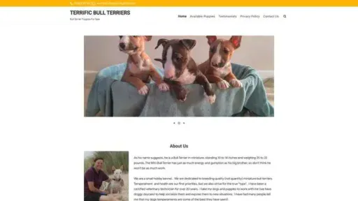 Screenshot of