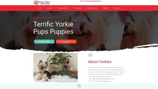 Screenshot of