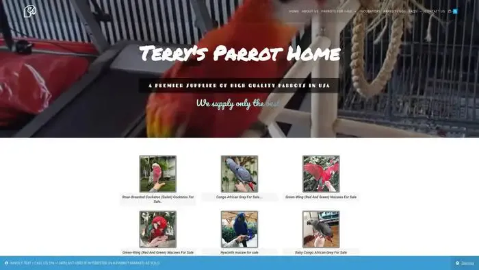 Screenshot of