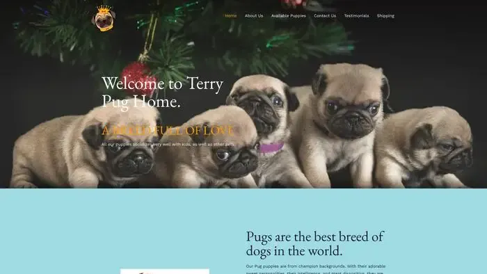 Screenshot of
