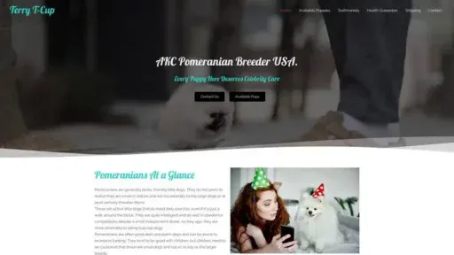 Screenshot of