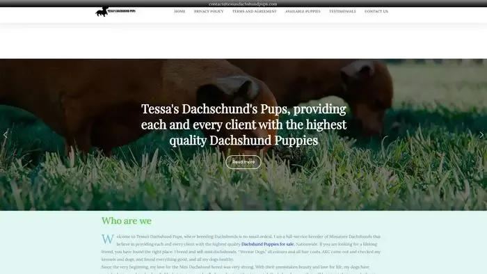 Screenshot of