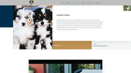Screenshot of