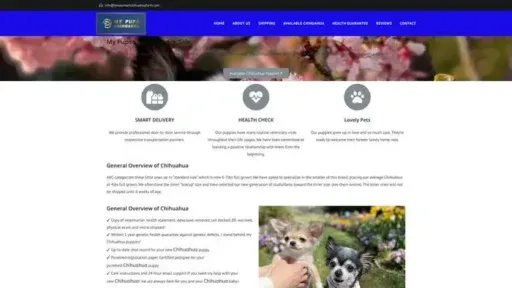 Screenshot of