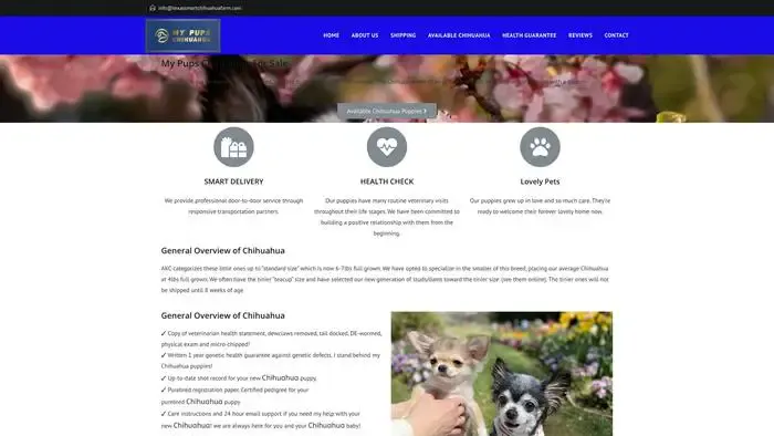 Screenshot of