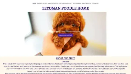 Screenshot of
