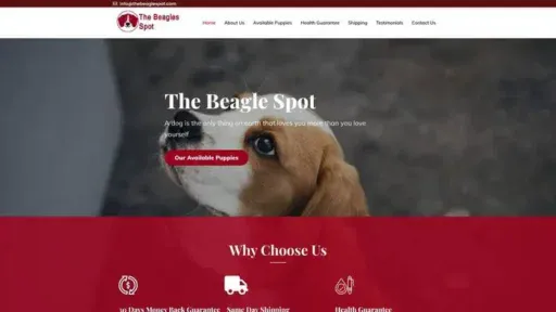 Screenshot of
