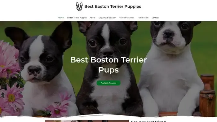Screenshot of