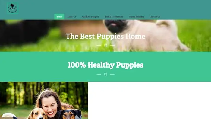 Screenshot of