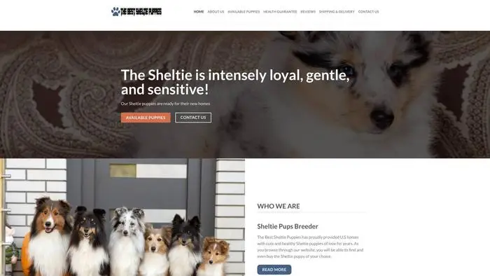 Screenshot of