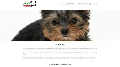 Screenshot of