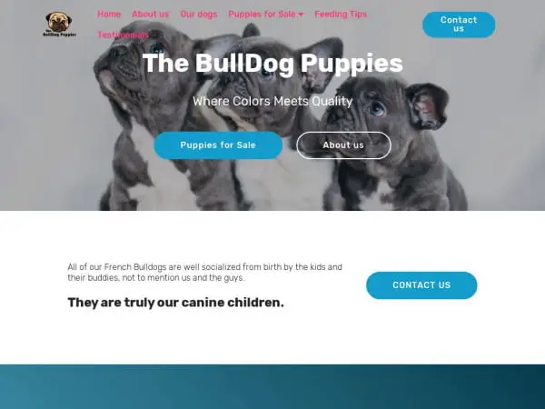 Screenshot of