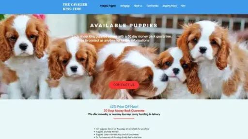 Screenshot of