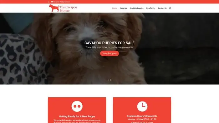 Screenshot of