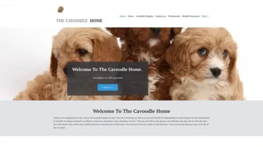 Screenshot of