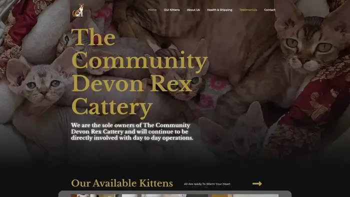 Screenshot of
