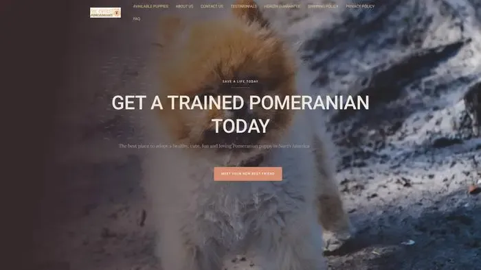 Screenshot of