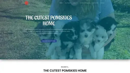 Screenshot of