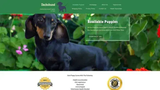 Screenshot of