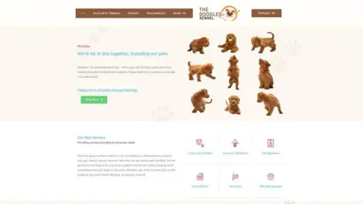 Screenshot of