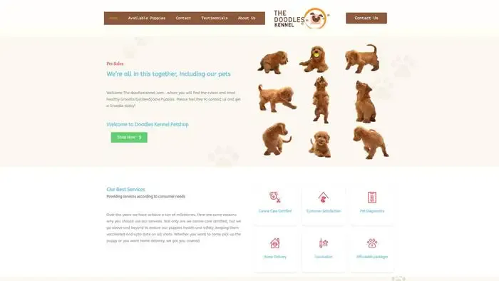 Screenshot of