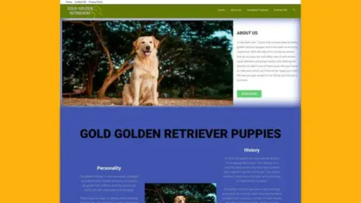 Screenshot of||