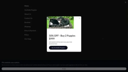 Screenshot of