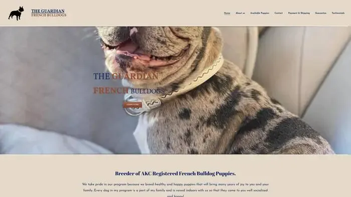 Screenshot of