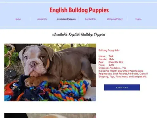 Screenshot of