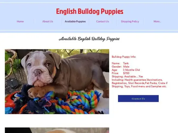 Screenshot of