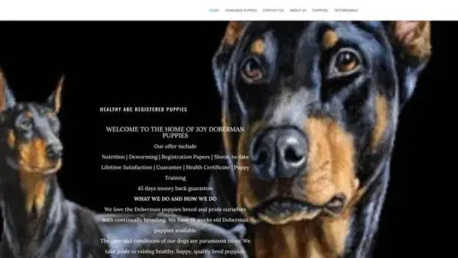 Screenshot of