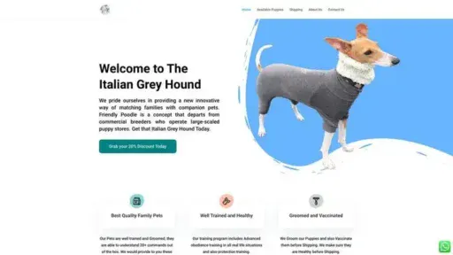 Screenshot of
