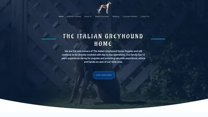Screenshot of