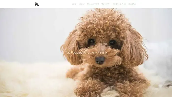 Screenshot of