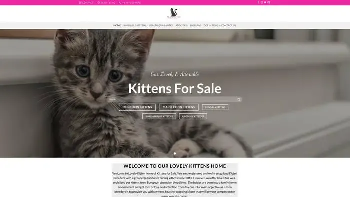 Screenshot of