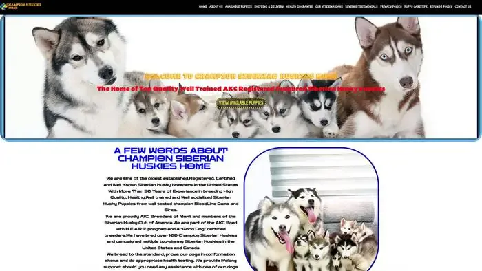 Screenshot of