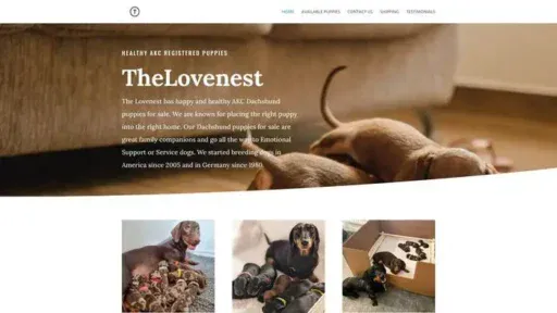 Screenshot of
