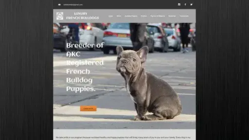 Screenshot of