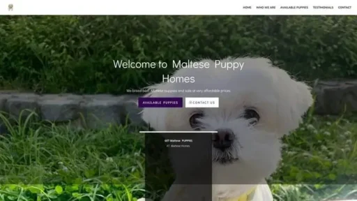 Screenshot of