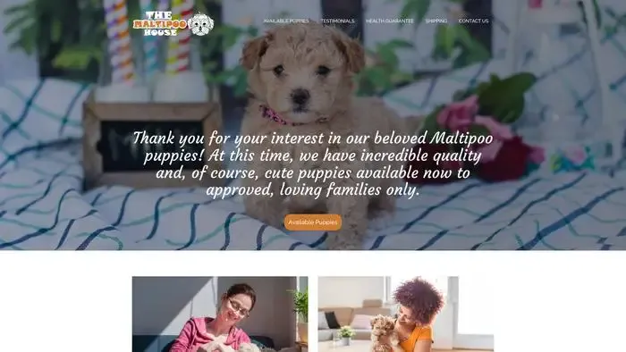 Screenshot of