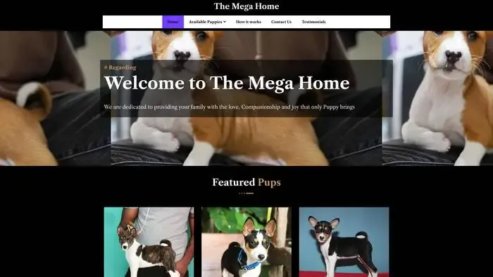 Screenshot of
