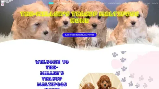 Screenshot of||