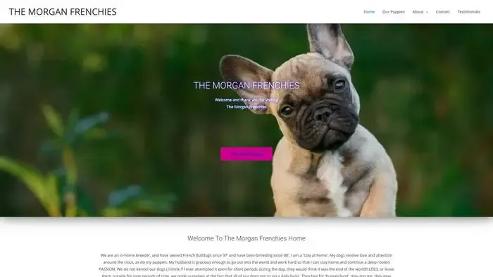 Screenshot of